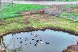 12156 Scott Grant Rd, Marysville, CA 95901 - Photo 75