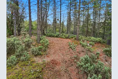 12050 Buckeye Road, Nevada City, CA 95959 - Photo 29