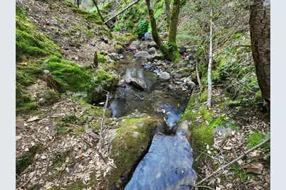 12050 Buckeye Road, Nevada City, CA 95959 - Photo 33