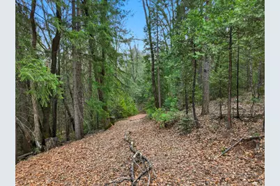 12050 Buckeye Road, Nevada City, CA 95959 - Photo 41