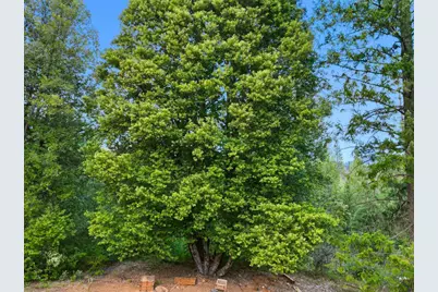 12050 Buckeye Road, Nevada City, CA 95959 - Photo 31