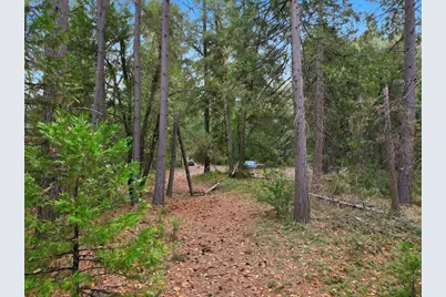 12050 Buckeye Road, Nevada City, CA 95959 - Photo 45