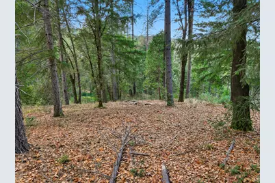 12050 Buckeye Road, Nevada City, CA 95959 - Photo 39