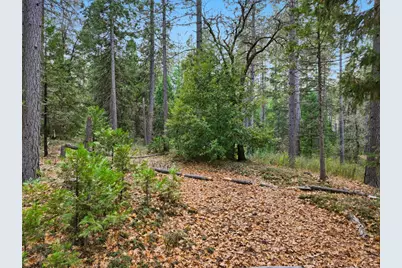 12050 Buckeye Road, Nevada City, CA 95959 - Photo 43