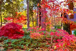 14153 Misty Meadow Ln, Nevada City, CA 95959 - Photo 15