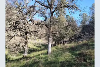 12288 Kenneth Court, Grass Valley, CA 95949 - Photo 7