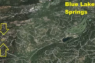 2637 Ruth Ln, Arnold, CA 95223 - Photo 83