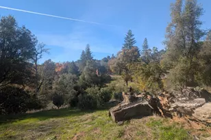 55110 Los Pinos Ln, Wishon, CA 93669 - Photo 37