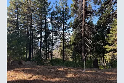 24150 State Highway 108, Twain Harte, CA 95383 - Photo 31