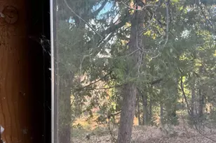 24150 State Hwy 108, Twain Harte, CA 95383 - Photo 7