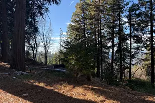 24150 State Hwy 108, Twain Harte, CA 95383 - Photo 29