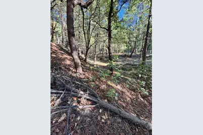 17630 E Antelope Drive E Drive, Pioneer, CA 95666 - Photo 13