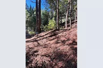 17630 E Antelope Drive E Drive, Pioneer, CA 95666 - Photo 5