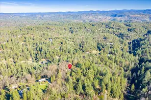 870 Swanson Ln, Colfax, CA 95713 - Photo 63