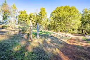 870 Swanson Ln, Colfax, CA 95713 - Photo 53