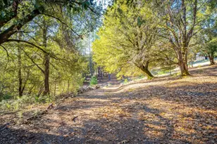 870 Swanson Ln, Colfax, CA 95713 - Photo 51