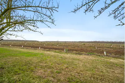 16221 Carrolton Road, Escalon, CA 95320 - Photo 39