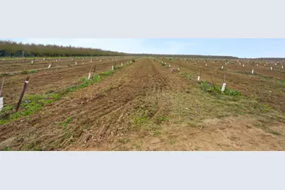 16221 Carrolton Road, Escalon, CA 95320 - Photo 11