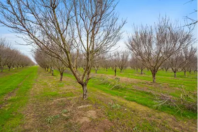 16221 Carrolton Road, Escalon, CA 95320 - Photo 9