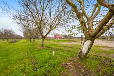 16221 Carrolton Road, Escalon, CA 95320 - Photo 17