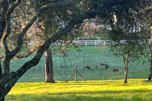 1900 Deer Valley Rd, Rescue, CA 95672 - Photo 69