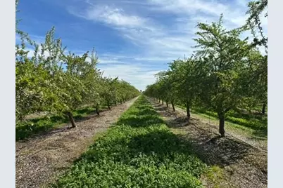 4506 S Ispen, Le Grand, CA 95333 - Photo 13