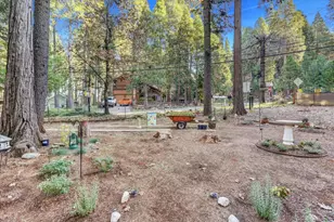 12746 Quaker Hill Cross Rd, Nevada City, CA 95959 - Photo 65