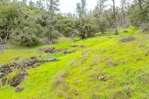 15438 Fay Rd, Grass Valley, CA 95949 - Photo 41