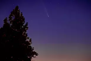 15438 Fay Rd, Grass Valley, CA 95949 - Photo 63