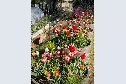 15438 Fay Road, Grass Valley, CA 95949 - Photo 69