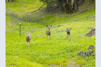 15438 Fay Road, Grass Valley, CA 95949 - Photo 43