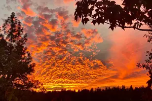 15438 Fay Rd, Grass Valley, CA 95949 - Photo 67