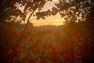 15438 Fay Rd, Grass Valley, CA 95949 - Photo 65