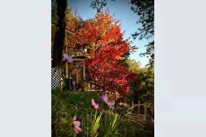 15438 Fay Road, Grass Valley, CA 95949 - Photo 57