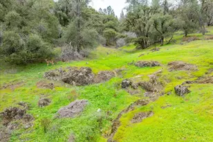 15438 Fay Rd, Grass Valley, CA 95949 - Photo 45