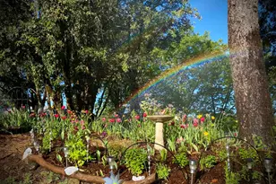 15438 Fay Rd, Grass Valley, CA 95949 - Photo 59