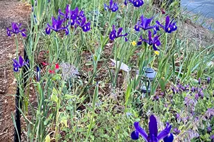 15438 Fay Rd, Grass Valley, CA 95949 - Photo 61