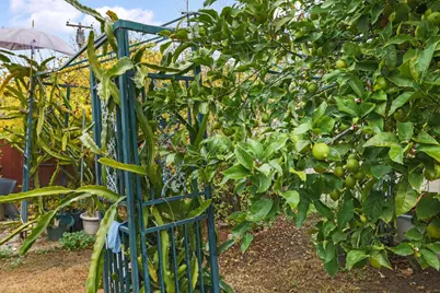 1386 Bal Harbor Way, San Jose, CA 95122 - Photo 29