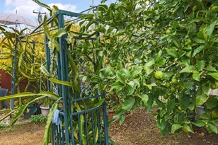 1386 Bal Harbor Way, San Jose, CA 95122 - Photo 29