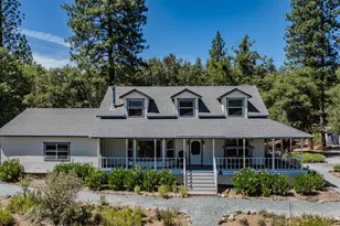 17050 Rams Horn Grade, Volcano, CA 95689 - Photo 93