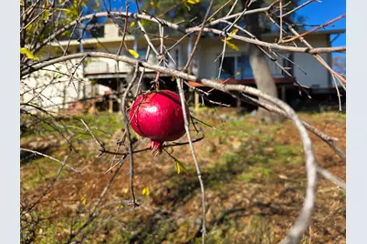 6540 Serendipity Lane, Placerville, CA 95667 - Photo 43