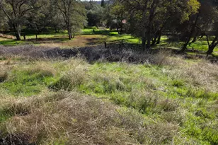 6540 Serendipity Ln, Placerville, CA 95667 - Photo 45