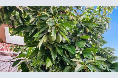 3014 Great Egret Way, Sacramento, CA 95834 - Photo 39