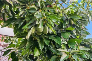 3014 Great Egret Way, Sacramento, CA 95834 - Photo 39