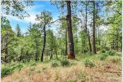 17008 Bloomfield Ridge Place, Nevada City, CA 95959 - Photo 37