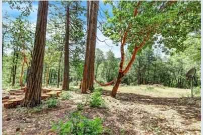 17008 Bloomfield Ridge Place, Nevada City, CA 95959 - Photo 33