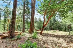 17008 Bloomfield Ridge Pl, Nevada City, CA 95959 - Photo 33