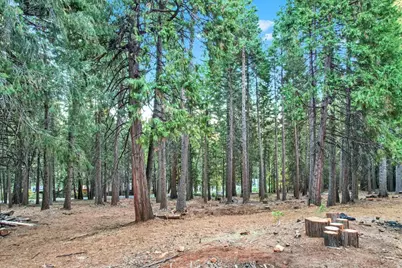 0 4440 Sly Park Rd, Pollock Pines, CA 95726 - Photo 5