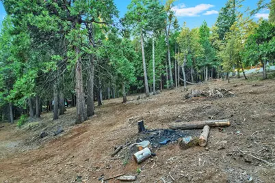 0 4440 Sly Park Rd, Pollock Pines, CA 95726 - Photo 21