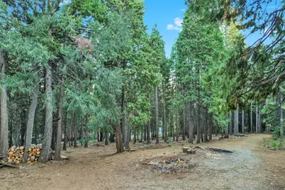 0 4440 Sly Park Rd, Pollock Pines, CA 95726 - Photo 11